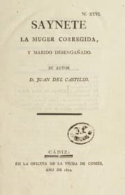 Tapa de [Saynetes de Castillo]