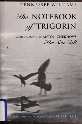 Tapa de The notebook of Trigorin