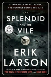 Tapa de The Splendid and the Vile