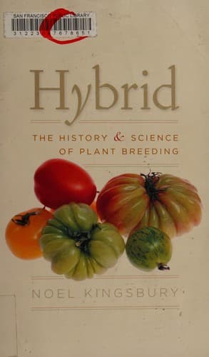 Tapa de Hybrid