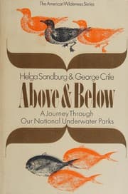 Tapa de Above and below