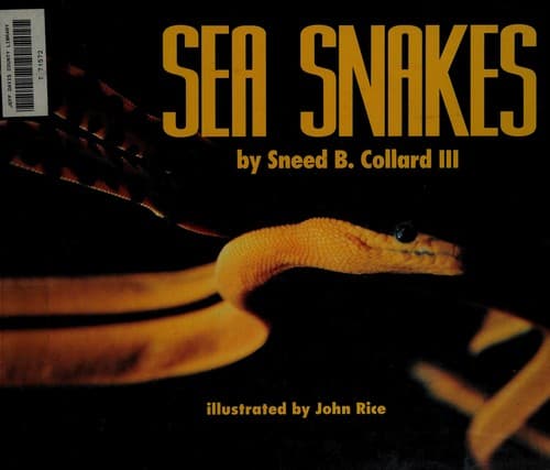 Tapa de Sea snakes