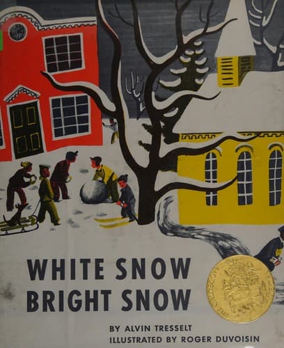 Tapa de White snow, bright snow