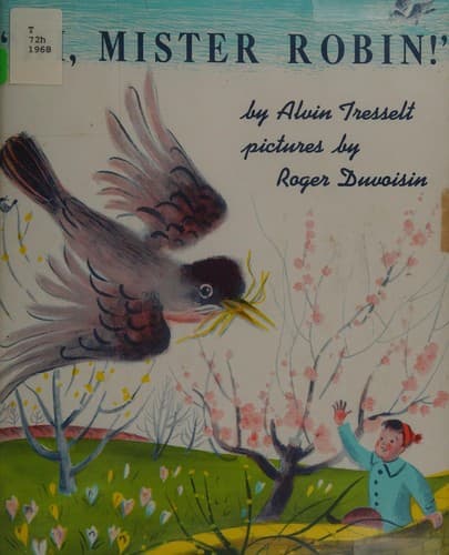 Tapa de Hi Mr.Robin