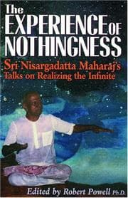 Tapa de Experience of Nothingness