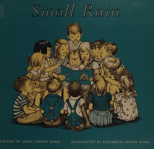Tapa de Small Rain