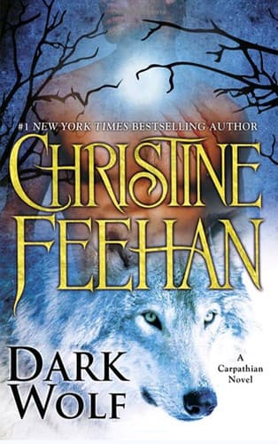 Tapa de Dark Wolf