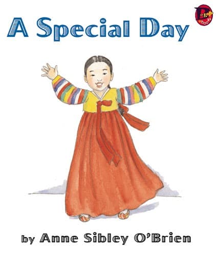 Tapa de A Special Day