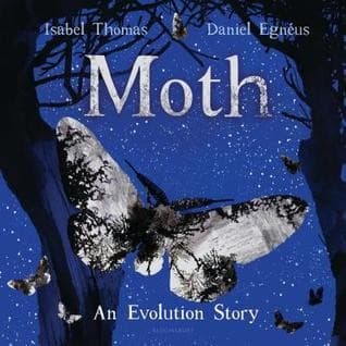 Tapa de Moth