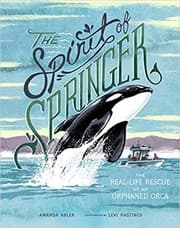 Tapa de The spirit of Springer