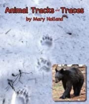 Tapa de Animal tracks and traces