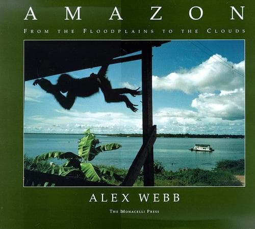 Tapa de Amazon