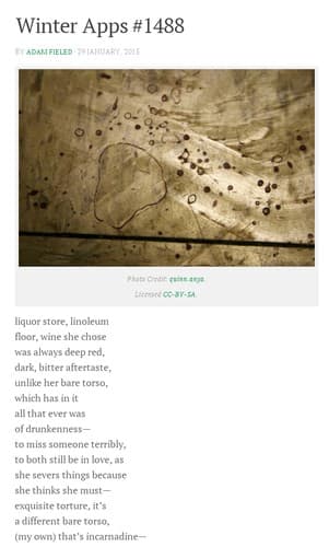 Tapa de Apparition Poem #1488