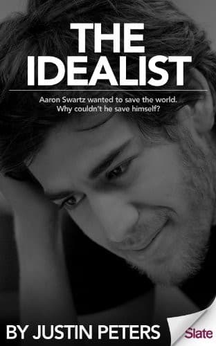 Tapa de The idealist