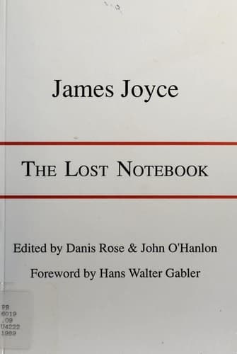 Tapa de The lost notebook