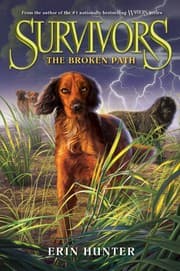 Tapa de The Broken Path
