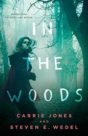 Tapa de In the Woods