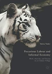 Tapa de Precarious Labour and Informal Economy