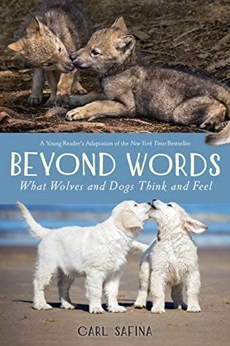 Tapa de Beyond Words