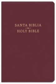 Tapa de RVR 1960/CSB Biblia bilingüe, borgoña imitación piel (CSB/RVR 1960 Bilingual Bible, Burgundy Imitation Leather)