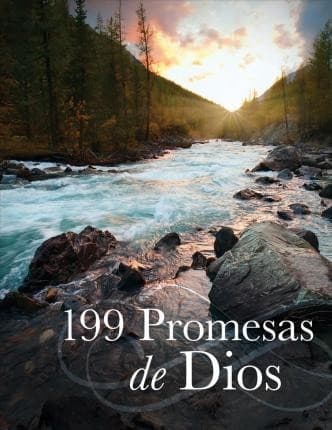 Tapa de 199 Promesas de Dios