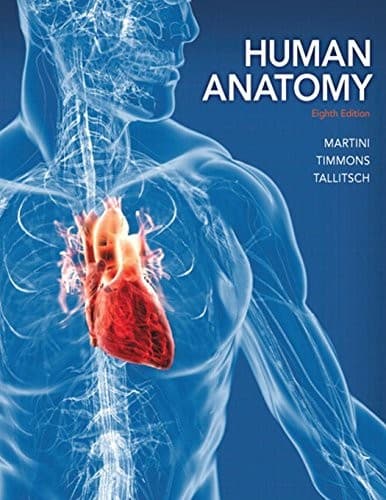 Tapa de Human Anatomy  - Standalone book