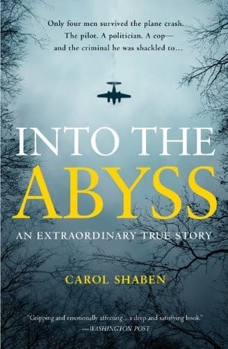 Tapa de Into the abyss