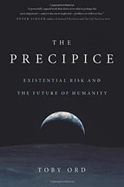 Tapa de The Precipice