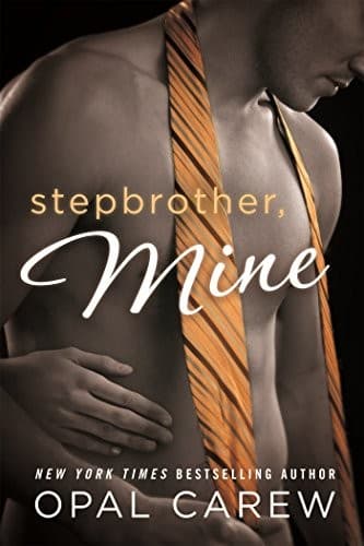 Tapa de Stepbrother Mine