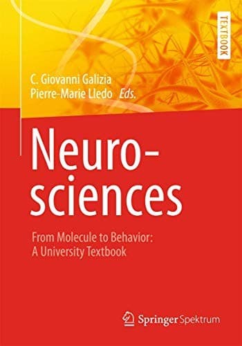 Tapa de Neurosciences - From Molecule to Behavior