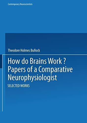 Tapa de How do brains work?