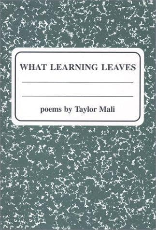 Tapa de What Learning Leaves