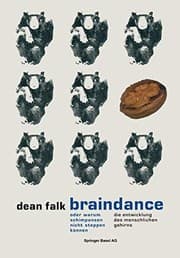 Tapa de Braindance oder Warum Schimpansen nicht steppen können