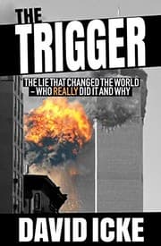 Tapa de The Trigger