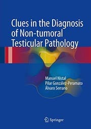 Tapa de Clues in the Diagnosis of Non-tumoral Testicular Pathology