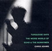 Tapa de Turquoise days