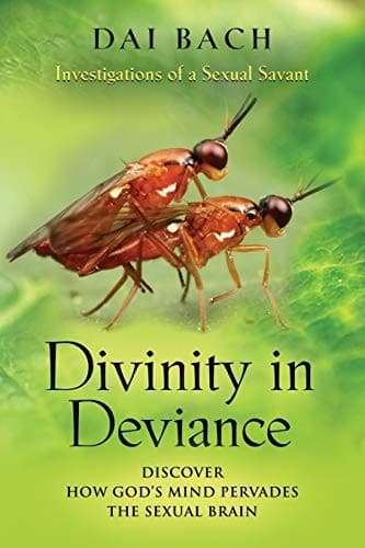 Tapa de Divinity in Deviance