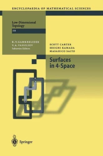 Tapa de Surfaces in 4-Space