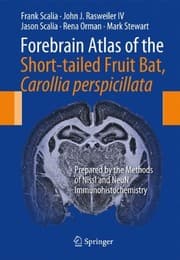 Tapa de Forebrain Atlas of the Short-tailed Fruit Bat, Carollia perspicillata