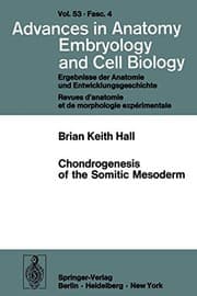 Tapa de Chondrogenesis of the Somitic Mesoderm