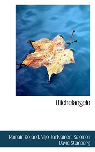 Tapa de Michelangelo
