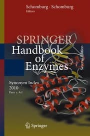 Tapa de Synonym Index 2010