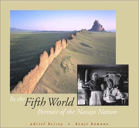 Tapa de In the fifth world