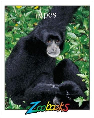 Tapa de Apes