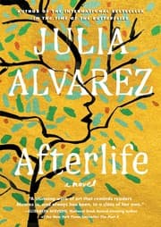 Tapa de Afterlife