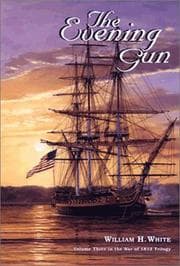 Tapa de The Evening Gun