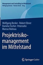 Tapa de Projektrisikomanagement im Mittelstand