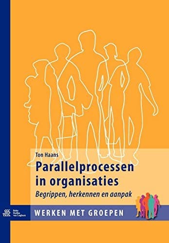 Tapa de Parallelprocessen in organisaties