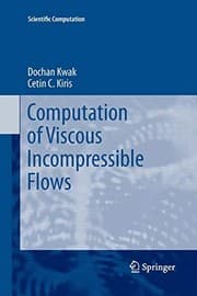 Tapa de Computation of viscous incompressible flows