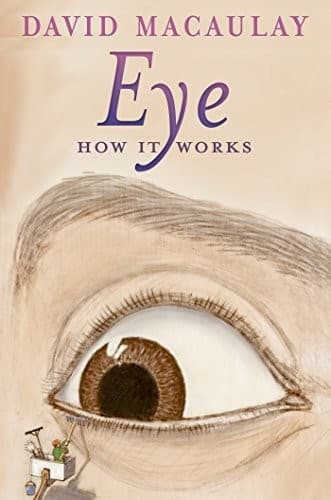 Tapa de Eye